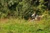2009-09-20_ntb_8363