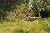 2009-09-20_ntb_8364