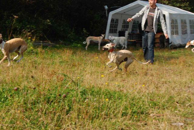 2009-09-20_ntb_8366