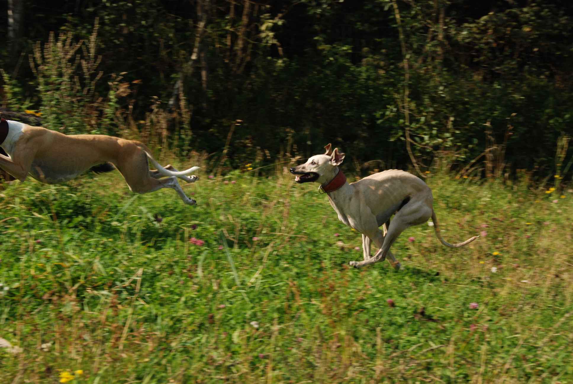 2009-09-20_ntb_8367