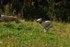 2009-09-20_ntb_8367