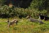 2009-09-20_ntb_8368