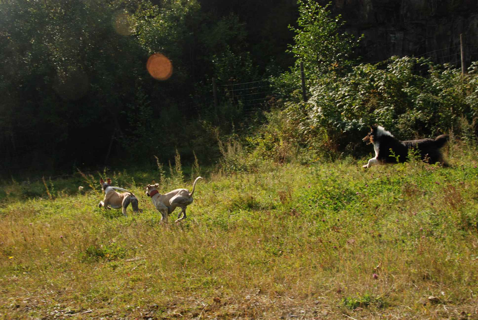 2009-09-20_ntb_8369