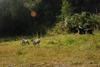 2009-09-20_ntb_8369