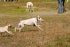 2009-09-20_ntb_8370