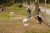 2009-09-20_ntb_8371