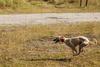 2009-09-20_ntb_8373