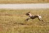 2009-09-20_ntb_8374