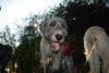 2009-09-20_ntb_8377