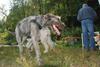 2009-09-20_ntb_8378