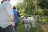 2009-09-20_ntb_8379
