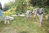 2009-09-20_ntb_8381
