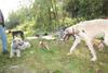 2009-09-20_ntb_8382