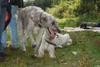 2009-09-20_ntb_8383