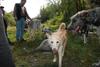 2009-09-20_ntb_8387