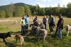 2009-09-20_ntb_8388