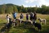 2009-09-20_ntb_8392
