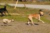 2009-09-20_ntb_8395