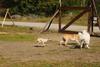 2009-09-20_ntb_8396