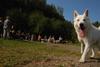 2009-09-20_ntb_8397
