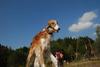 2009-09-20_ntb_8398