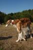 2009-09-20_ntb_8399