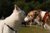 2009-09-20_ntb_8402