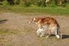 2009-09-20_ntb_8403