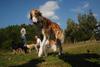 2009-09-20_ntb_8404