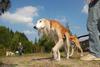 2009-09-20_ntb_8405