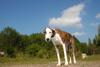 2009-09-20_ntb_8407