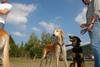 2009-09-20_ntb_8408