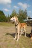 2009-09-20_ntb_8410
