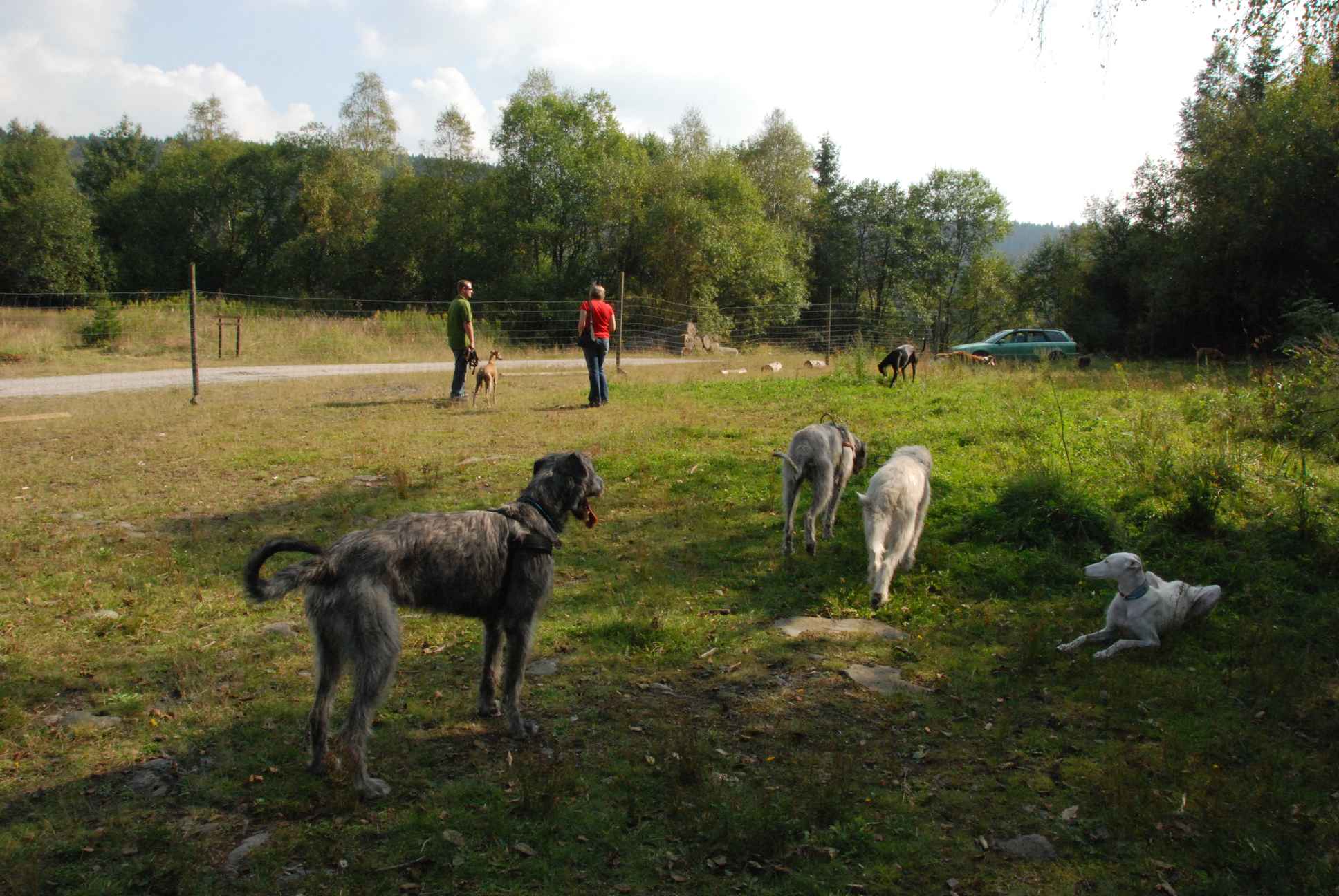 2009-09-20_ntb_8424
