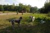 2009-09-20_ntb_8424