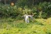2009-09-20_ntb_8425