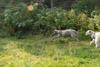 2009-09-20_ntb_8426