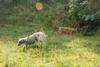 2009-09-20_ntb_8428
