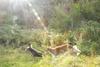 2009-09-20_ntb_8432