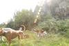 2009-09-20_ntb_8433