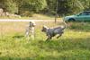 2009-09-20_ntb_8437