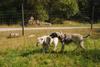 2009-09-20_ntb_8438