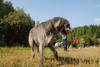 2009-09-20_ntb_8439