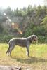 2009-09-20_ntb_8441