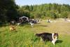 2009-09-20_ntb_8443