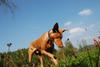 2009-09-20_ntb_8444