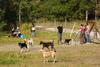 2009-09-20_ntb_8445