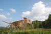 2009-09-20_ntb_8447