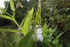 2009-09-20_ntb_8449