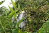 2009-09-20_ntb_8450